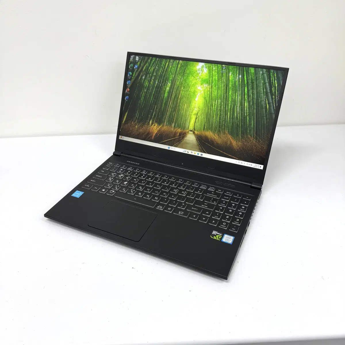 게이밍노트북 i7-9750H 지포스 1660Ti 배그 디아블로 영상편집